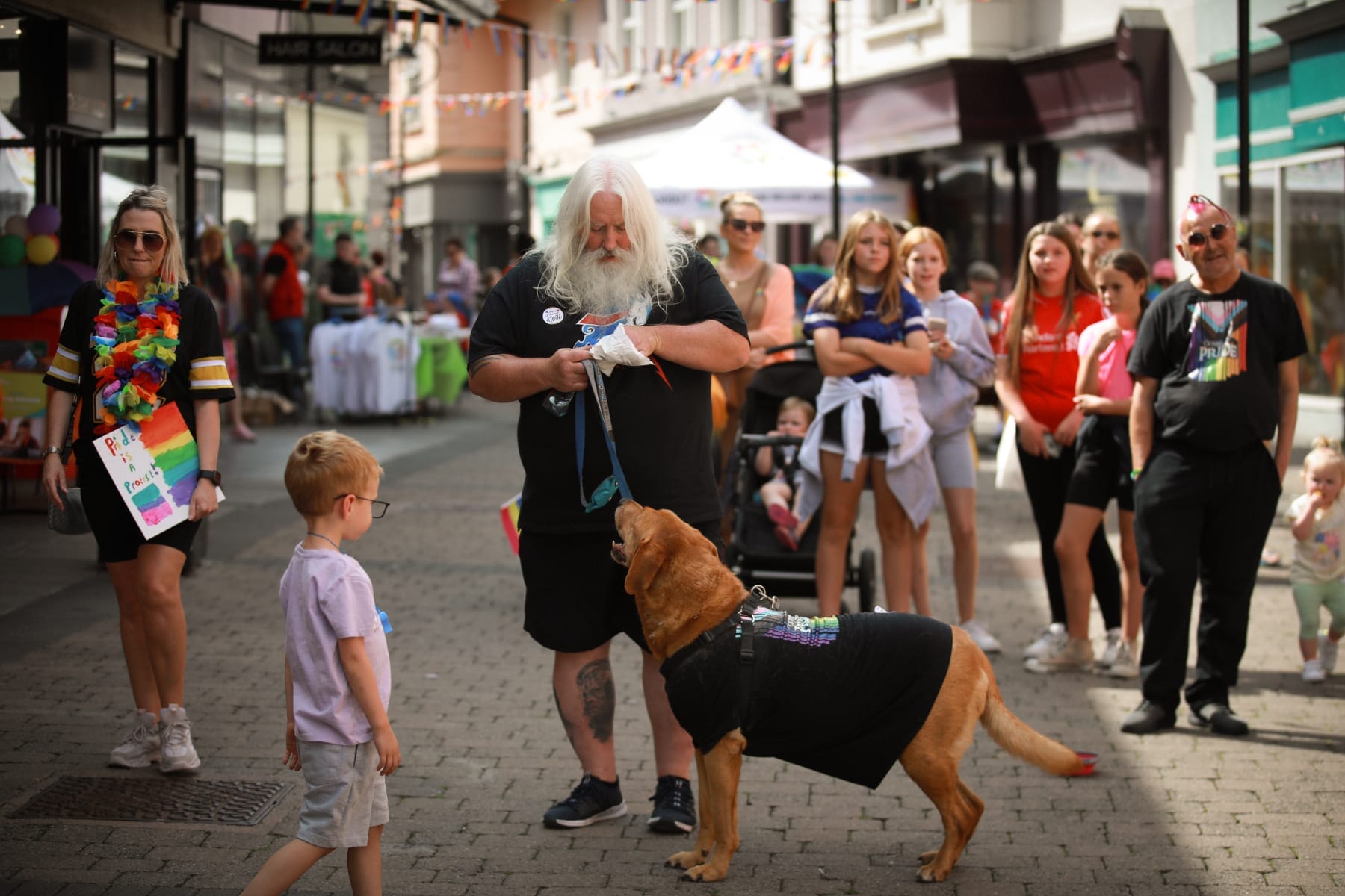 Dog at Clonmel Pride